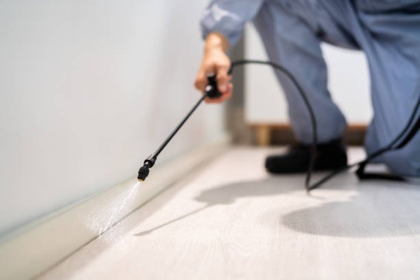Licensed Pest Control service in La Cygne, KS - Show Me Pest Control