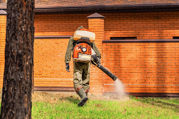 Bed Bug Clearance Verification and Documentation in La Cygne
